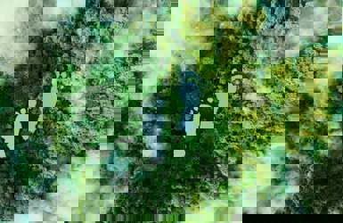 Benefits of becoming Carbon Neutral